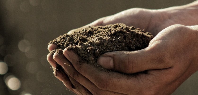 G8全自動(dòng)石墨消解儀對土壤中Cd、Cr、Cu、Pb、Ni、Zn金屬消解方案